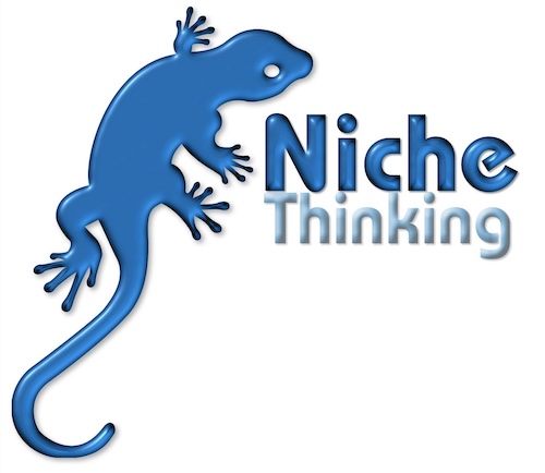 niche thinking logo