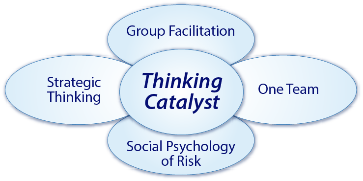 A graphic shows Niche Thinking services including group facilitation, strategic thinking, and social psychology of risk.